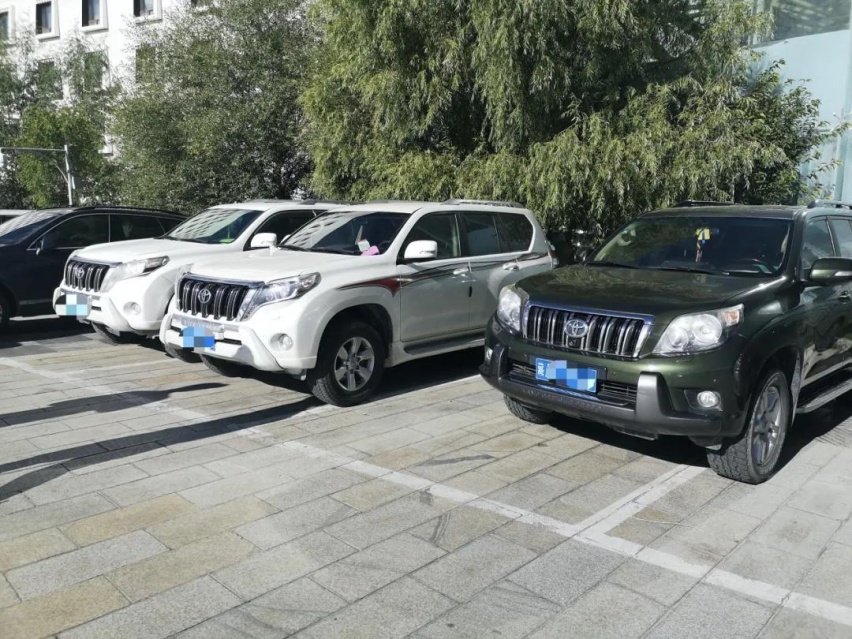 实地探访，除了丰田越野车，西藏消费者还会买哪些车？
