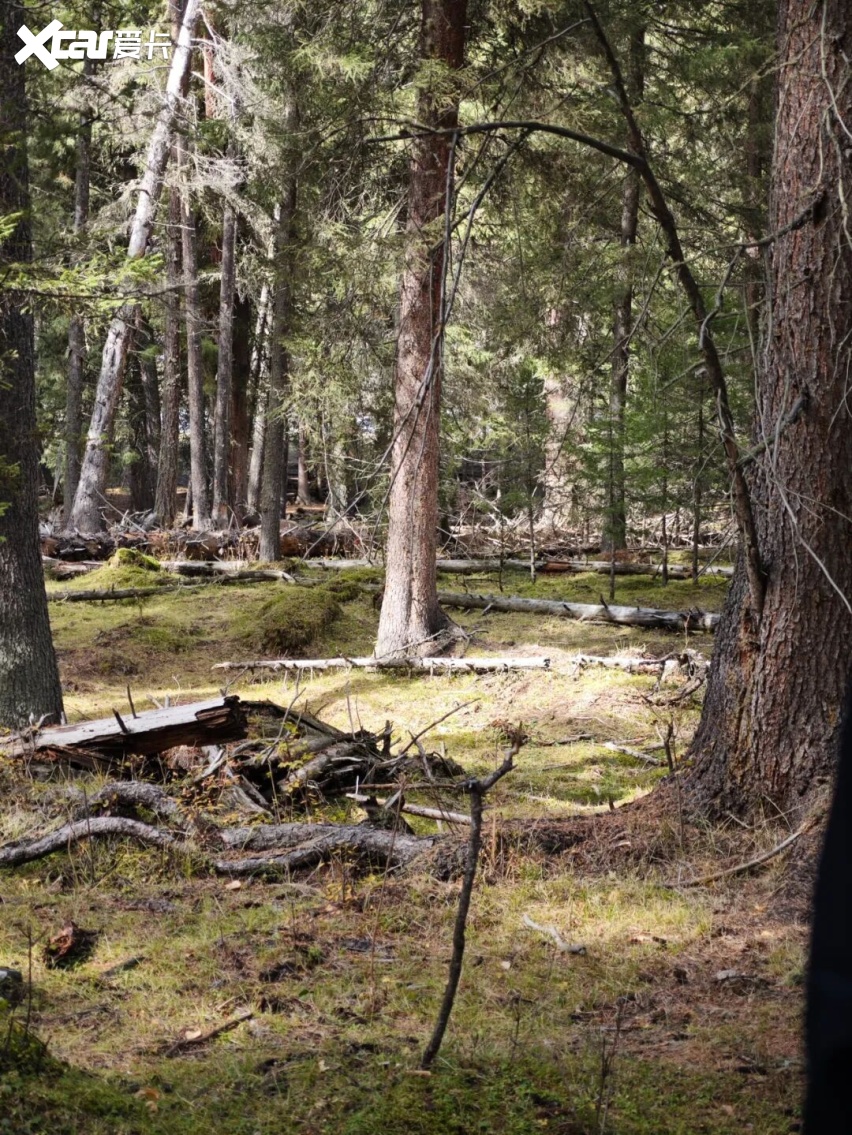 开宝马进新疆！4天1200公里，终于知道这才是天花板级的自驾游！