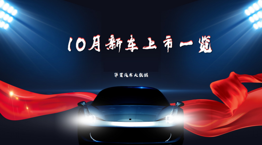 云+丨2024年10月新车上市一览
