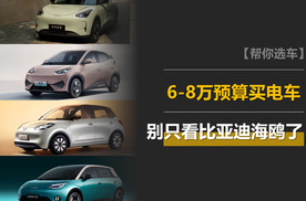 6-8万元纯电小车推荐，除了比亚迪海鸥，另外这三款也不错！