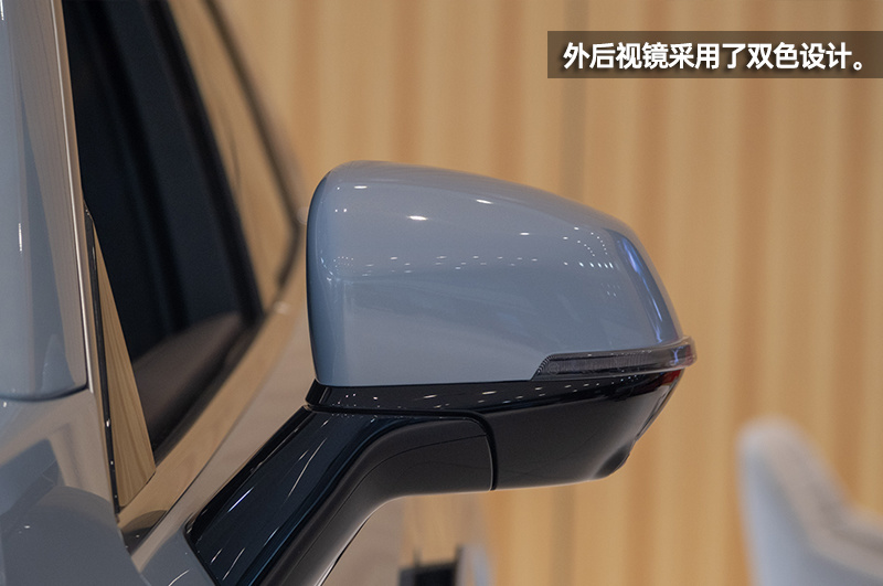 这是你想要的“味道”吗？WEY摩卡到店实拍