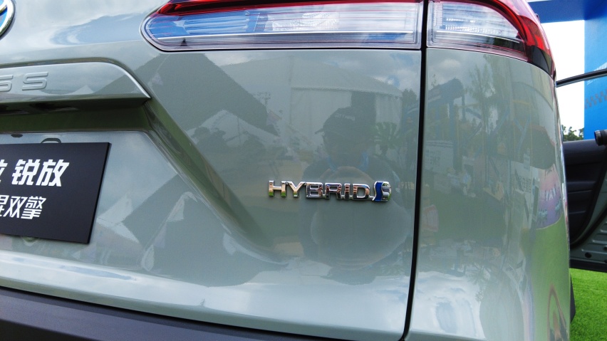 hybird.JPG
