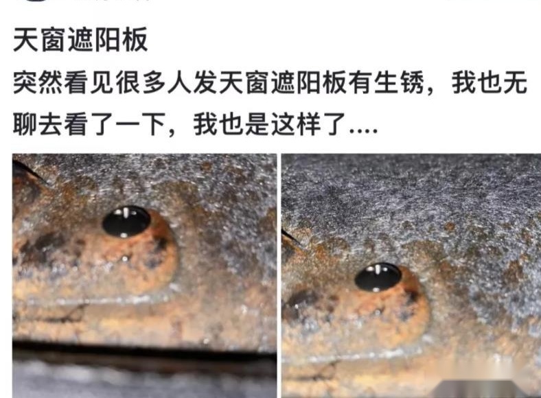 传祺影豹一手好牌打得稀烂，疑似天窗生锈官方回应：胶水变色所致