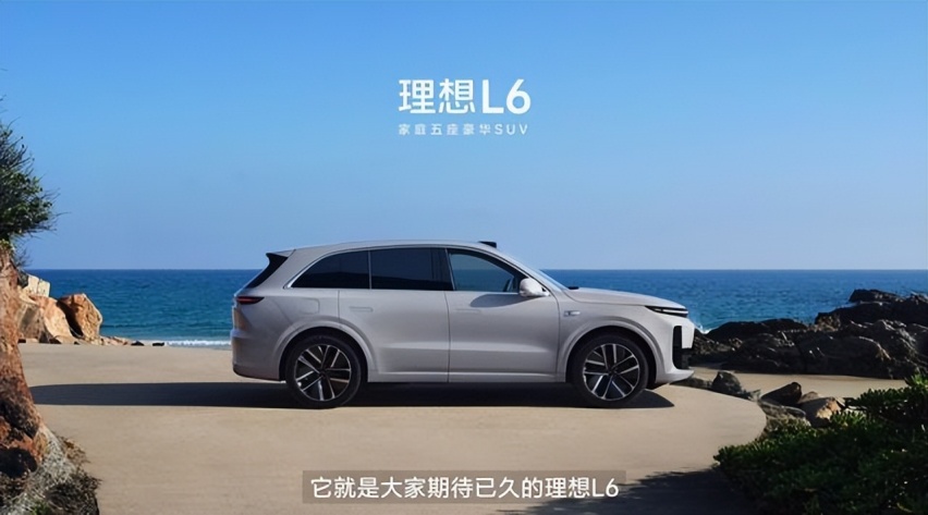 MEGA“出师未捷”，L6能否坚定扛起大旗？