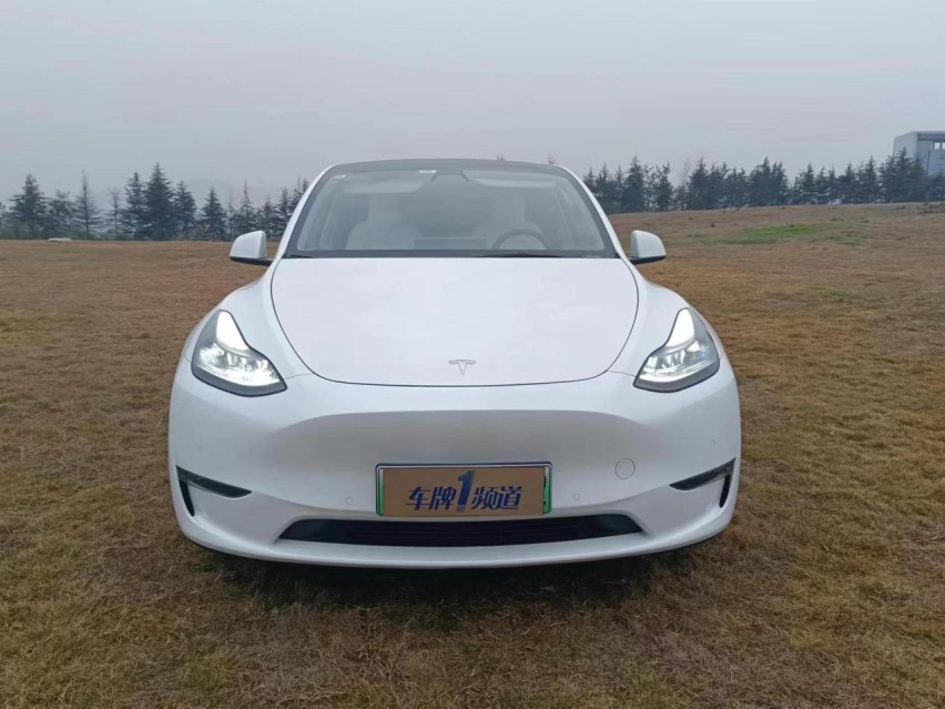 开着特斯拉 Model Y高性能四驱版游乌江画廊