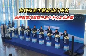 咸阳首家鸿蒙智行用户中心开业 解锁新豪华智能出行体验
