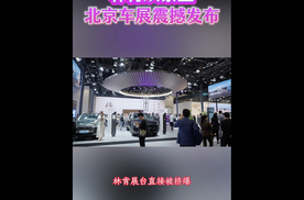 北京车展最值得看的车！林肯双紫星没人反对
