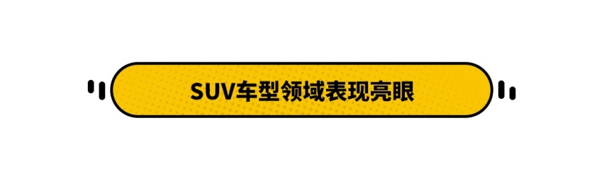 销量同比增长111% 该说不愧是红旗么？