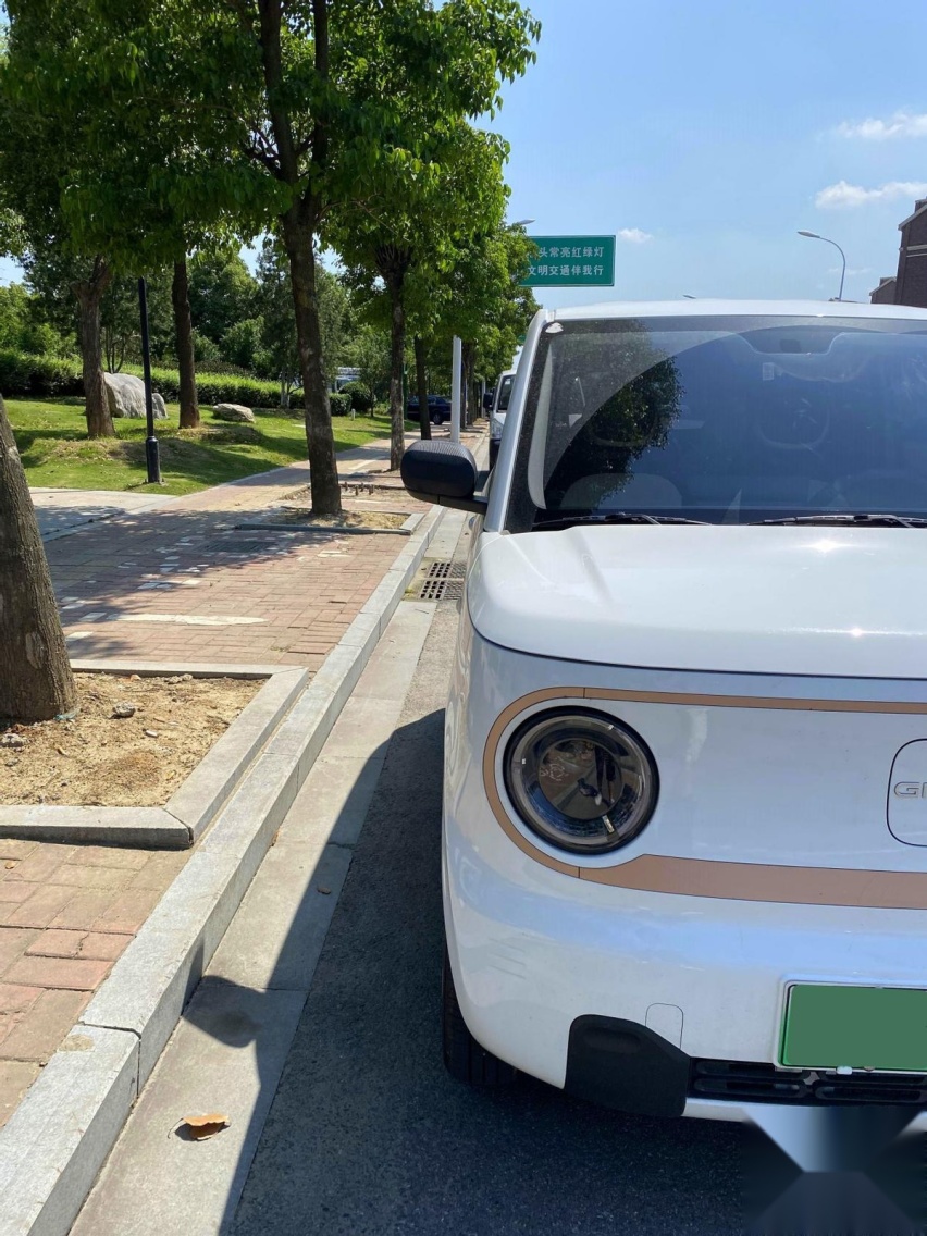 微型纯电车的首选——熊猫mini，性价比太高