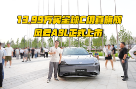13.99万买全球C级真旗舰，风云A9L正式上市