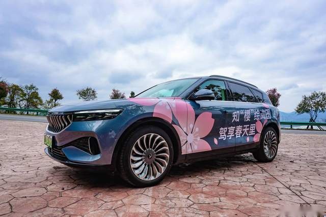 试驾岚图FREE，空气悬挂很高级，4.5秒加速很给力