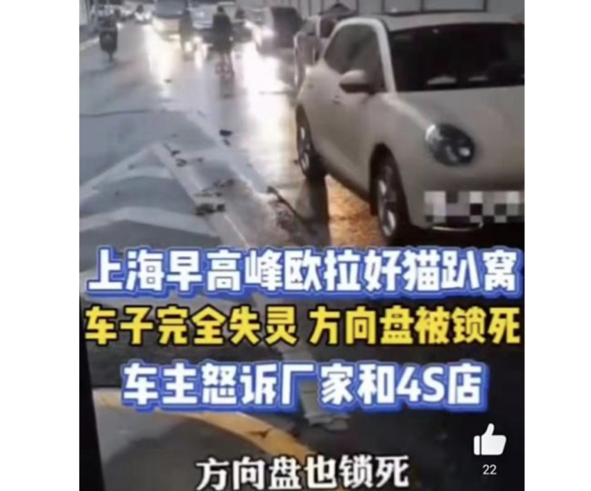 欧拉好猫身陷“换新门”,再曝新瓜!不懂女人心?