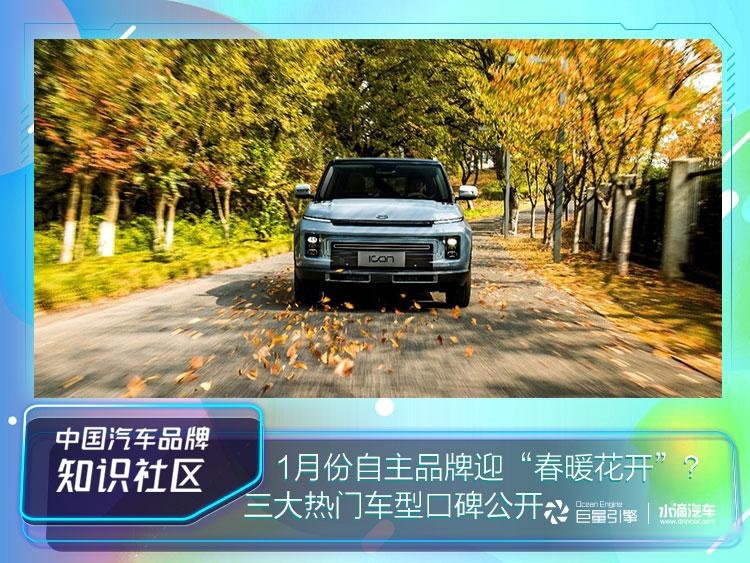 1月份自主品牌迎“春暖花开”？三大热门车型口碑公开
