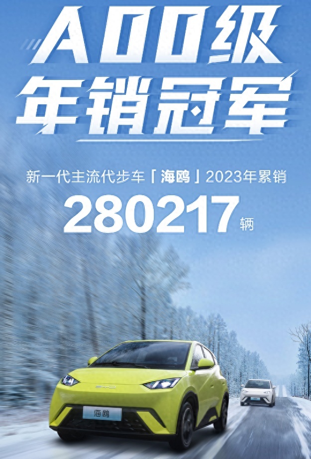 A00级年度销量冠军，比亚迪海鸥摘得