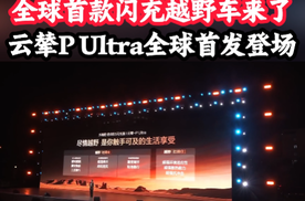 硬派越野卷到30万内！方程豹闪充版价格公布，全场沸腾
