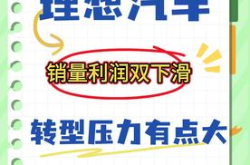 理想汽车2025年财报：利润腰斩、销量掉队，转型压力有多大？