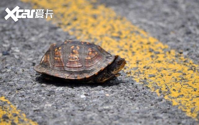 越快越亏？特惠单计时计价后，网约车司机越开越慢？！