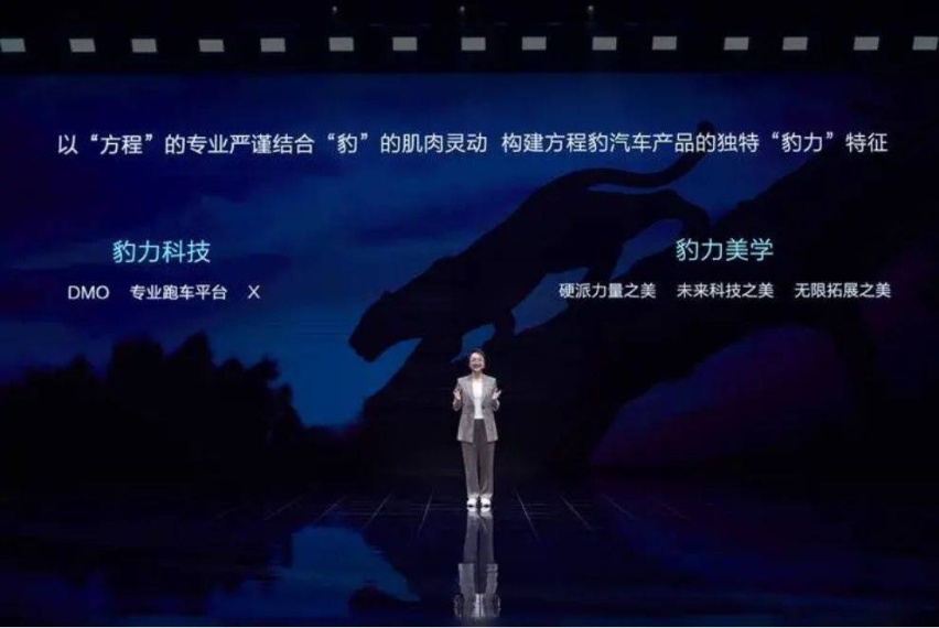 林燃：豹5卖给谁？