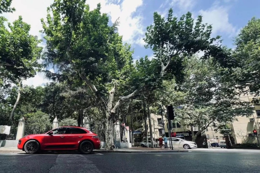 「试驾手记」大马力的烟火气？试驾保时捷Macan GTS