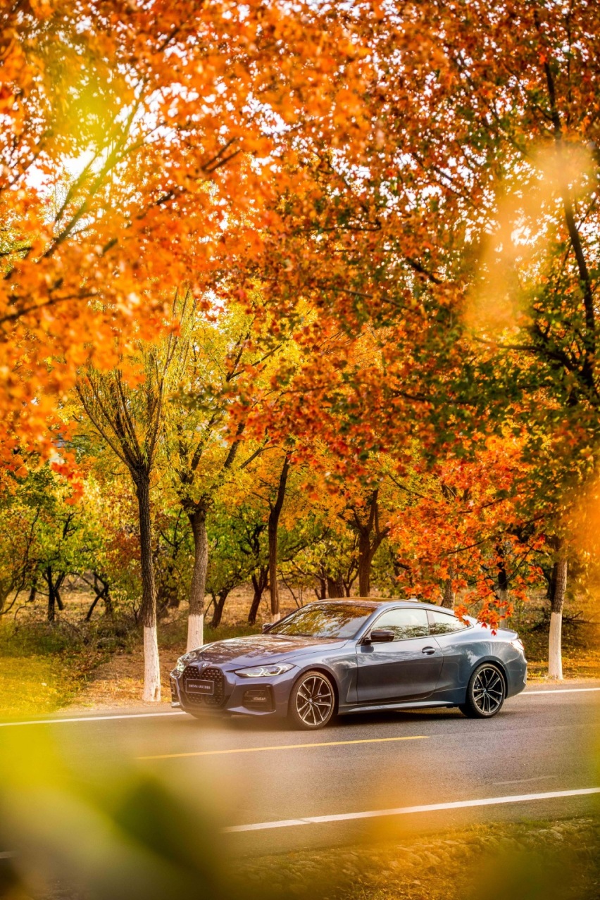 全新BMW 4系，开起来有惊喜，与330i有明显区别