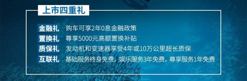 长城炮柴油8AT试驾：人生除了实干，也需要惬意与远方
