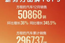 年度黑豹？多款车型霸榜 方程豹月销量跻身新势力品牌TOP3