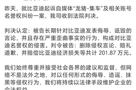 法院判决龙猪集车赔偿比亚迪202万元