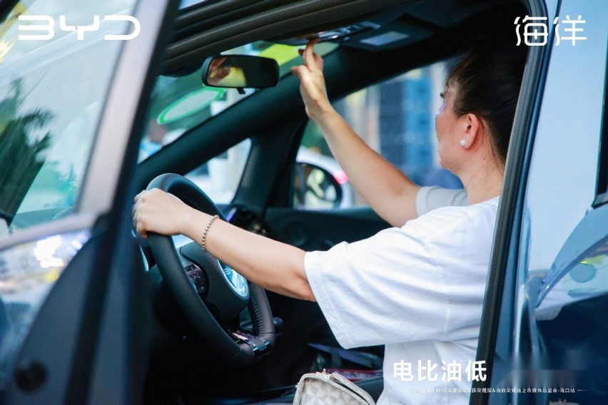 最高降价2.2万元，2024款驱逐舰05/海豚/海鸥登陆海南