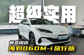 10.98万的超混旅行车，海豹06DM-i旅行版真能让旅行车火起来！