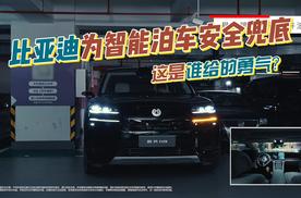 为智能泊车安全兜底，这才是车企应该干的！