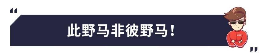 玛莎外观+奔驰内饰+宝马动力，这台顶配15万的SUV你见过？