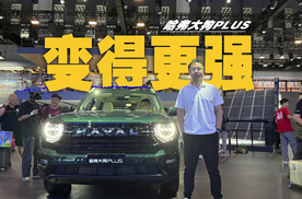 哈弗大狗PLUS实力大增，多种动力系统匹配地形需求