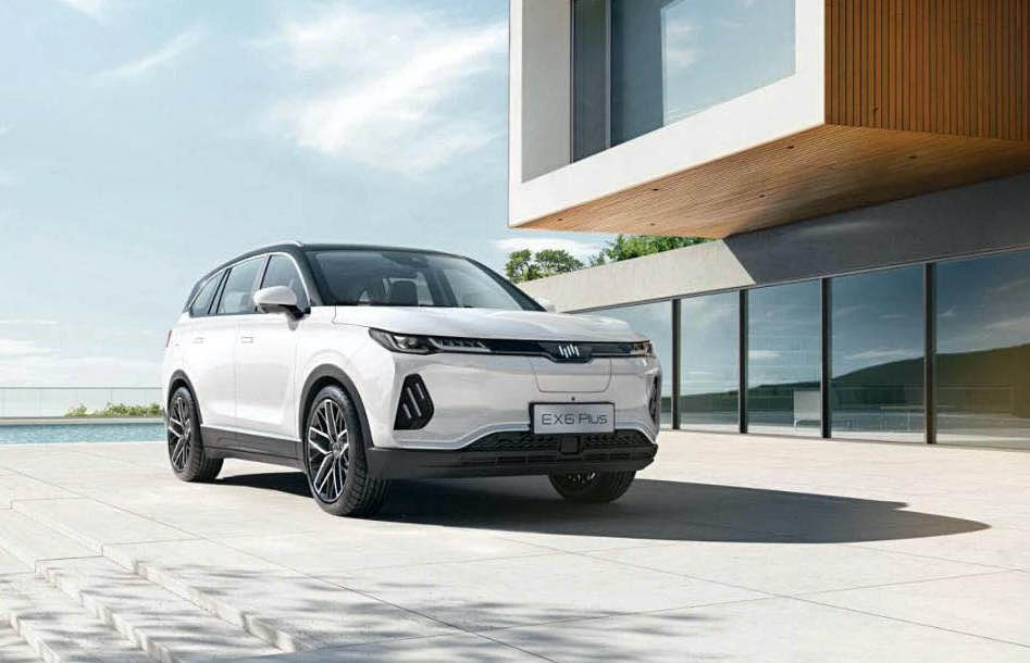 ���������������REX6 Plus 6�����_���A��