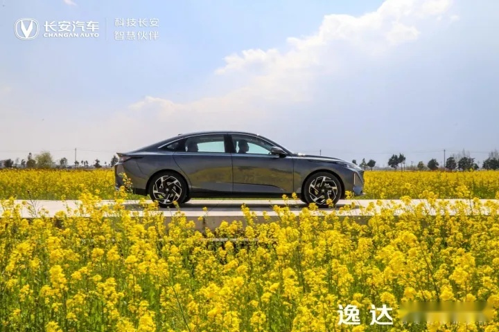 试驾官丨评测长安逸达，好看又好开，日系靠边站？