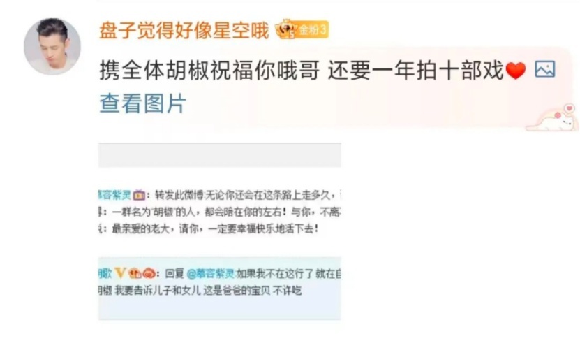 胡歌喜得千金，娱乐圈纷纷送祝福，家庭用车TA火了！