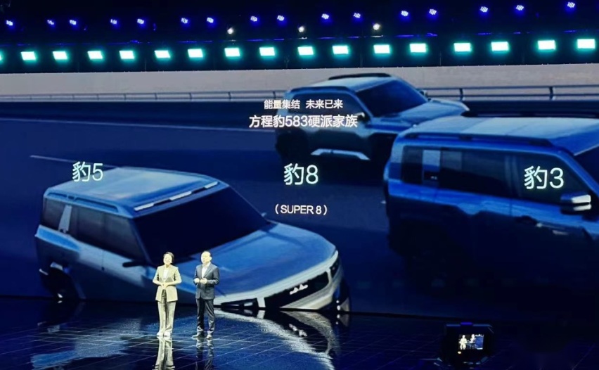 方程豹，这题好“解”么？