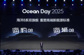 从浪花到海洋：四年600万同行路，比亚迪与Z世代共造出行新纪元