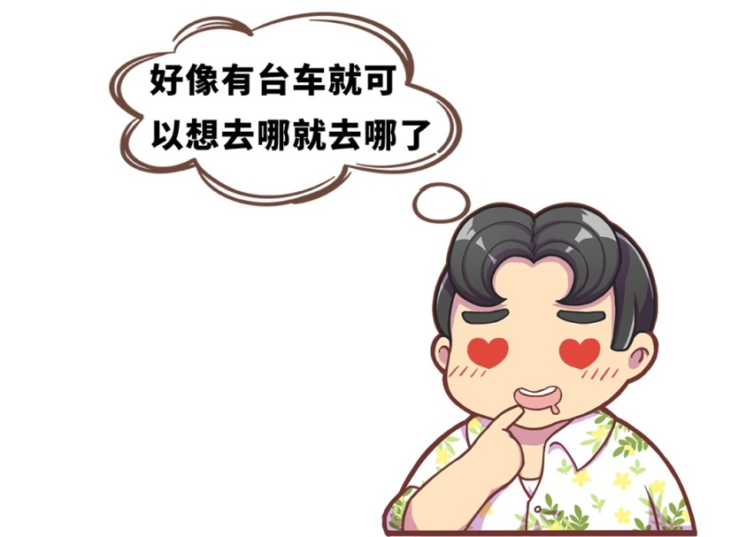 花10万买车 是选择德味儿品牌 还是支持国产？