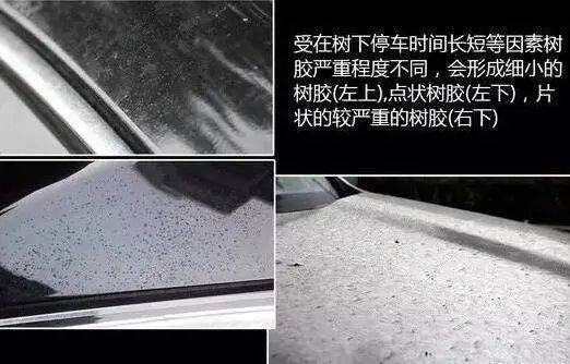 气候多变的季节 车漆也面临着各种考验 伤漆？“毁容”？不能忍！