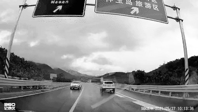 科普丨近年车企都搞起麋鹿测试，它到底有啥用？​