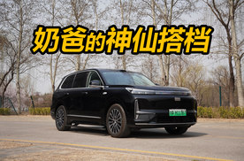 奶爸出行的神仙搭档