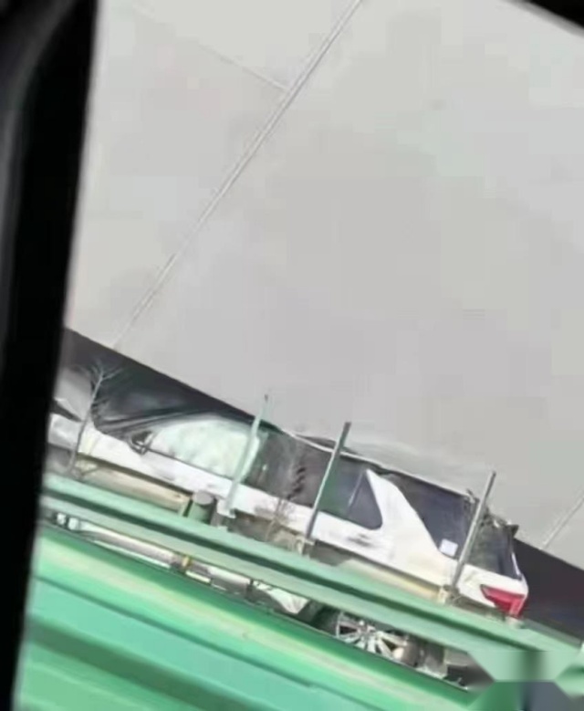 以钢筋铁骨“撑起”一座桥，探险者拥有硬核底气