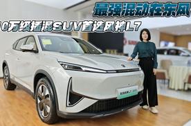 告别城市SUV同质化 方程豹钛3“又硬又家用”？