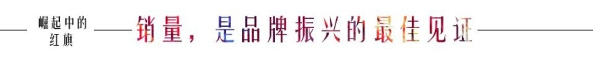 2020年的上半场——谨以此文献给崛起中的红旗品牌