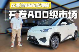 续航305km和405km，能选装激光雷达，比亚迪2026款海鸥开卷