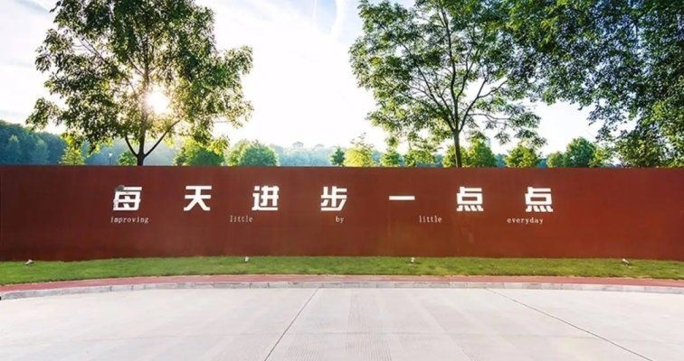 青铜独家 | 魏建军的勇敢与丰田章男的犹疑，意味着什么？