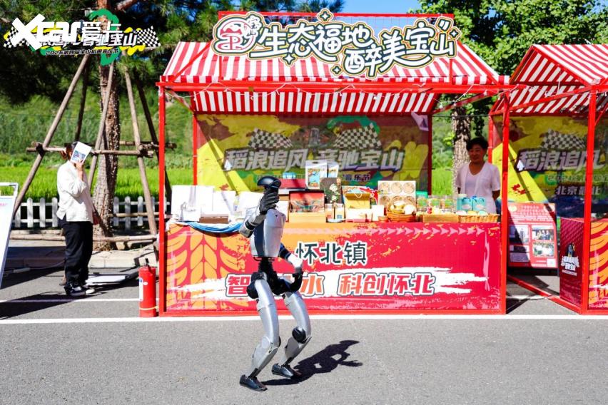 稻浪追风音驰宝山，融合CRC拉力赛，2026北京怀柔宝山稻田音乐节启幕