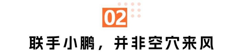 砸7亿美元狂飙，一觉醒来后大众变“大鹏”？