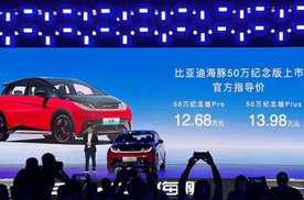后独立悬架是假消息！比亚迪海豚纪念版上市，顶配比骑士版贵3000