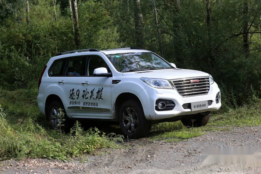 这些带大梁的国产SUV，你要不要考虑一下丨帮你选车
